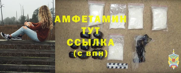 трава Надым