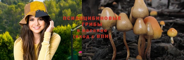 амф Наволоки