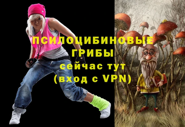 трава Надым