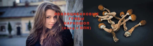 дмт Михайловка