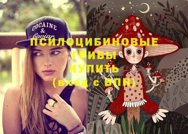 PSILOCYBIN Михайловск